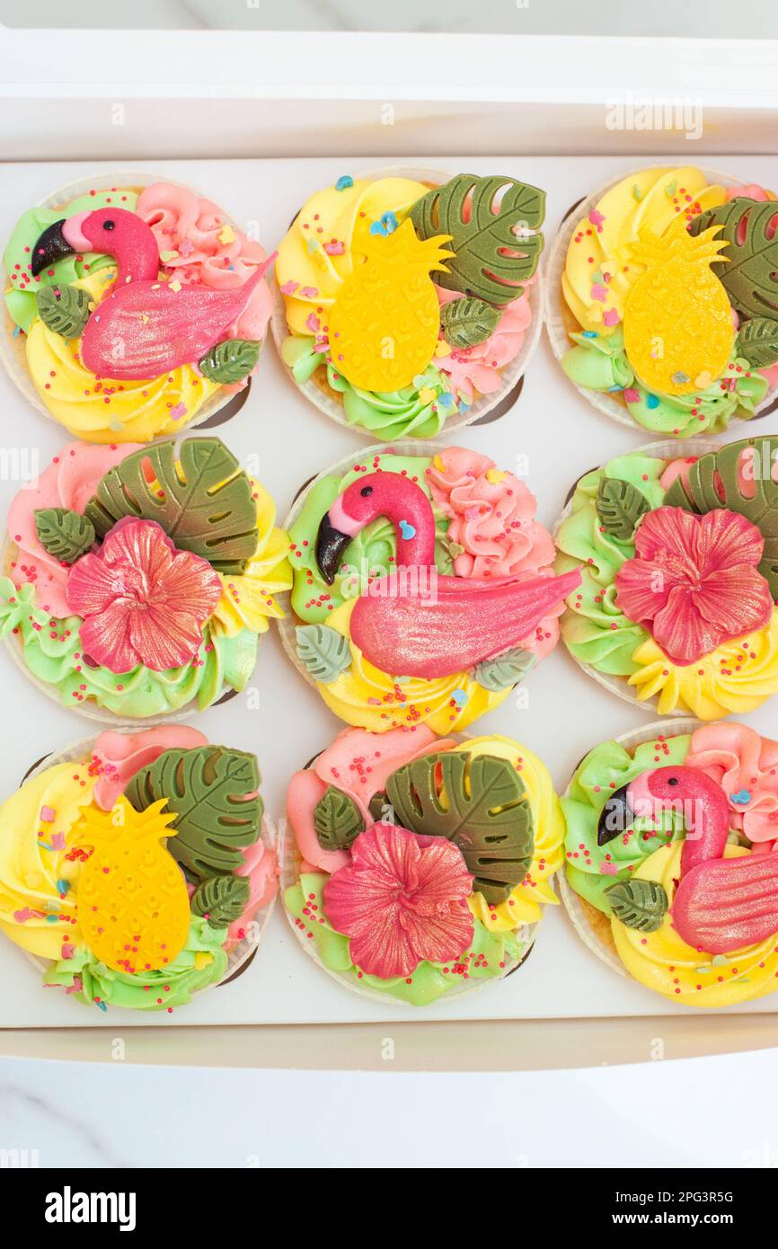 Boîte cadeau avec petits gâteaux, fruits et fleurs flammants colorés et lumineux pour la fête d'anniversaire tropicale Banque D'Images