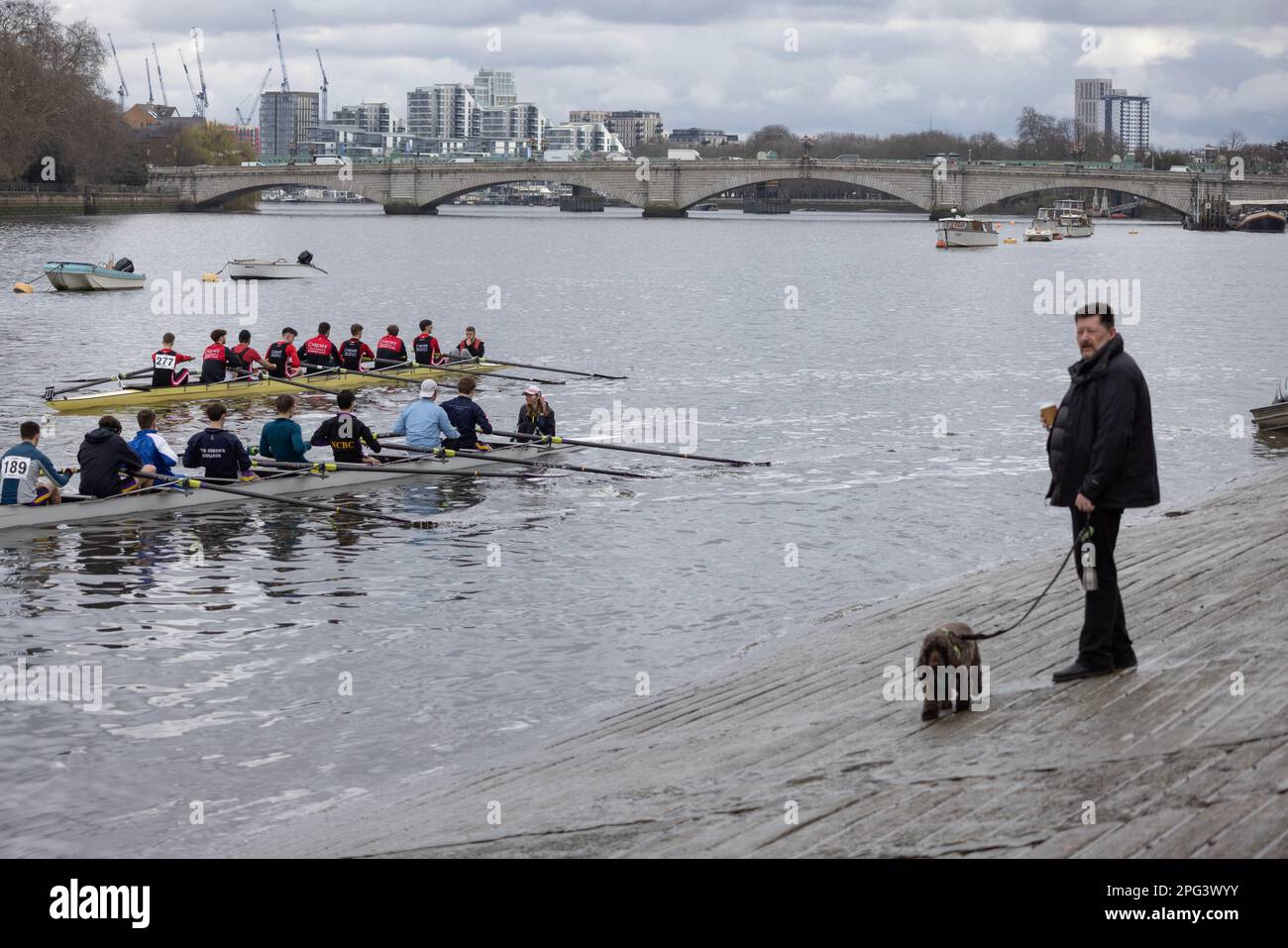 The Head of the River Race, course d'aviron contre la montre qui se