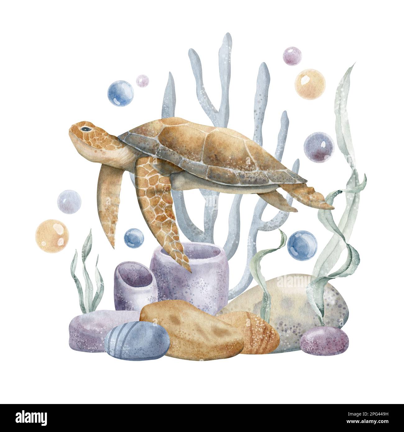Illustration aquarelle de la tortue de mer, des coraux et des algues. La vie sous-marine. Dessin main coloré sur fond isolé d'animal sous-marin sauvage. Croquis de la tortue marine nageant pour affiche. Banque D'Images
