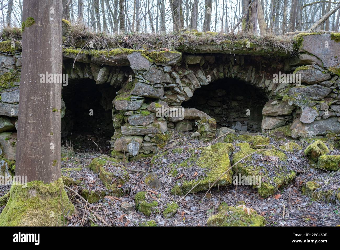 Ruines d'une ancienne maison dans le village allemand abandonné de Rosendorf (Růžová) en Bohême de l'Ouest, près de Bělá nad Radbuzou. Vestiges de fondations et de caves. Banque D'Images