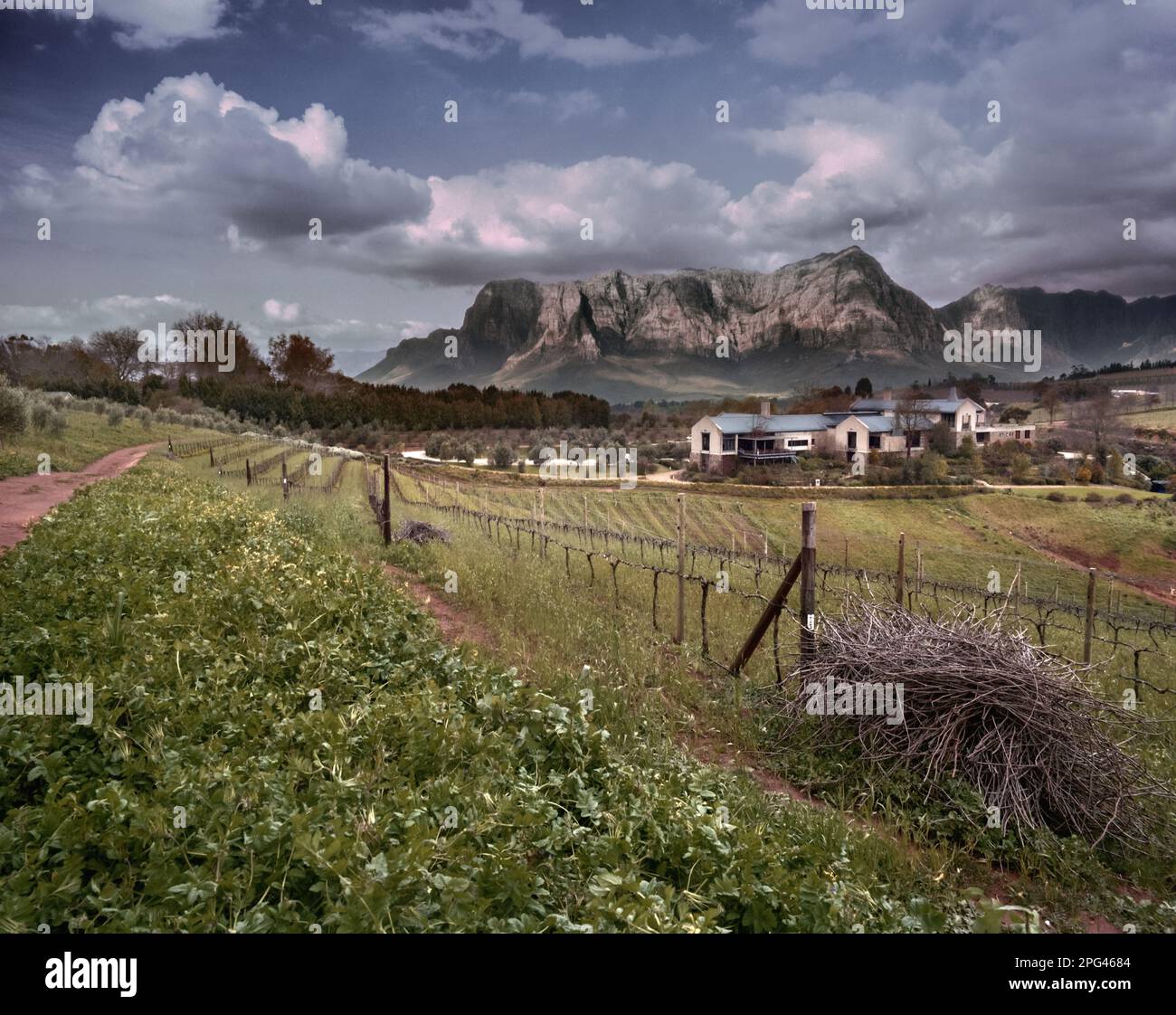 Les caves à vin de Tokara et le restaurant avec les montagnes franschhoek en arrière-plan. Le domaine viticole de Tokara se trouve sur le col Helshoogte entre St Banque D'Images