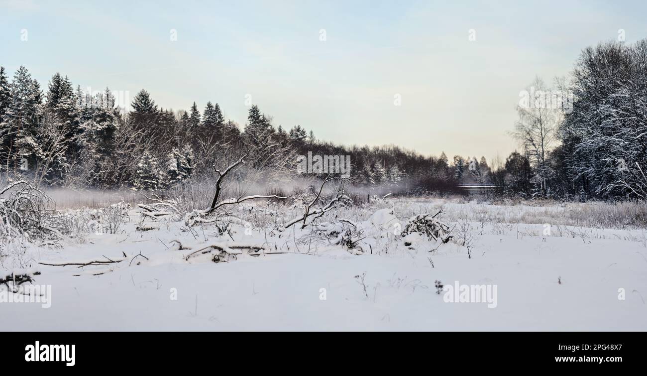 Couche de neige recouvrant les branches de bois de dérive et les pierres près de la rivière, arbres sombres flous en arrière-plan - froid paysage d'hiver Banque D'Images