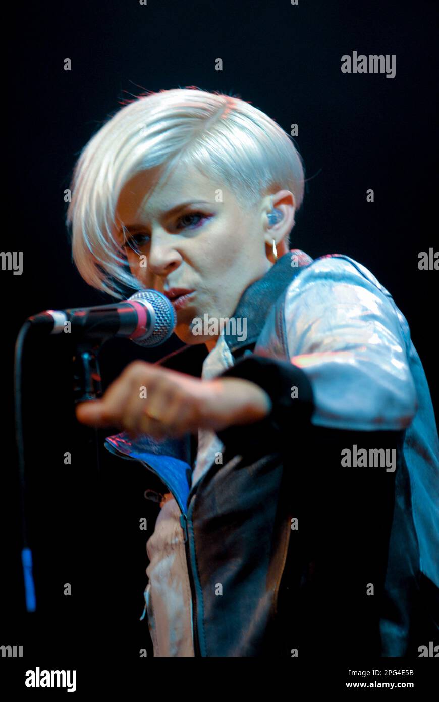 Robyn, V2008, Hylands Park, Chelmsford, Essex, Royaume-Uni - 17 août 2008 Banque D'Images