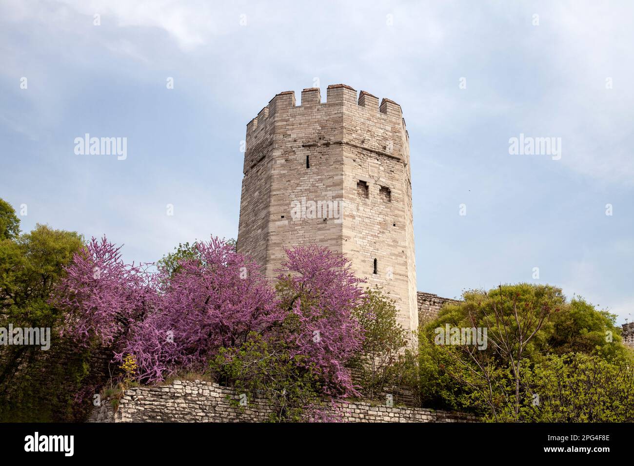 Les murs du Yedikule d'Istanbul au printemps. Les remparts historiques de la ville byzantine, Kazlıçeşme, Zeytinburnu. TURQUIE Banque D'Images