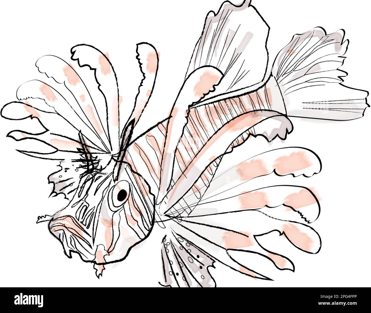 Illustration de l'espèce de mer rouge aquarelle du poisson du Lion Illustration de Vecteur