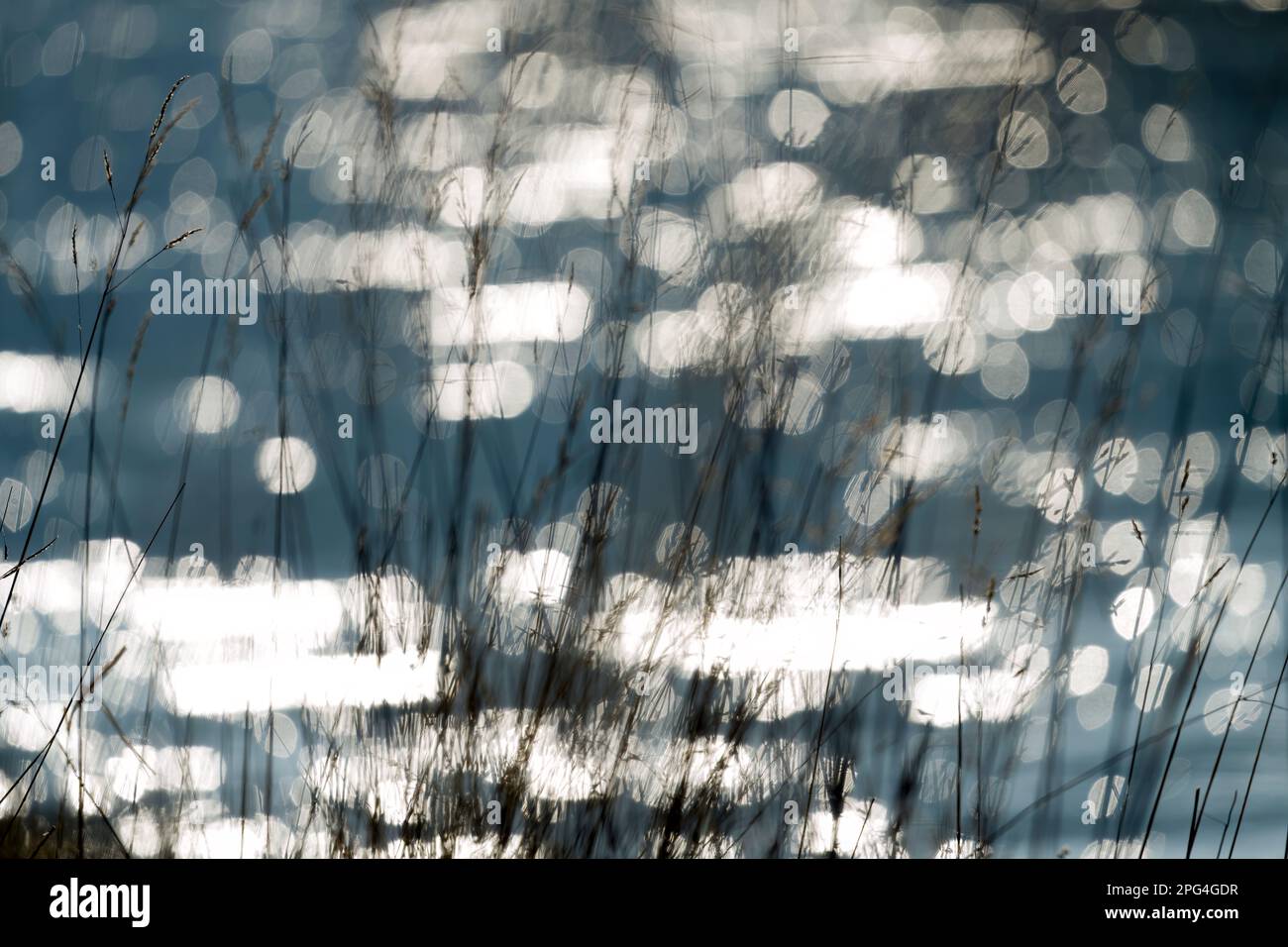 Vagues sur la rivière Weser avec des réflexes solaires, Wesertal, Weserbergland; Allemagne Banque D'Images