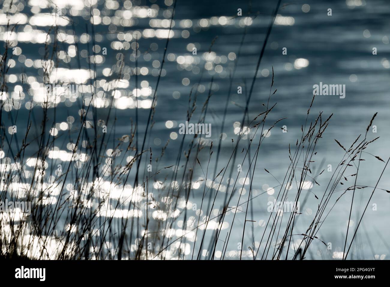 Vagues sur la rivière Weser avec des réflexes solaires, Wesertal, Weserbergland; Allemagne Banque D'Images
