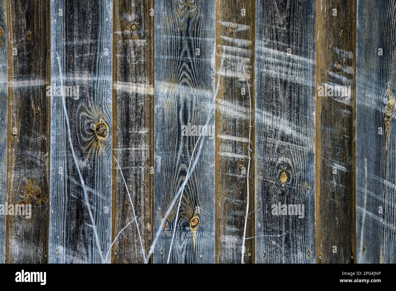 Vieux mur en bois avec traces de rayures Banque D'Images
