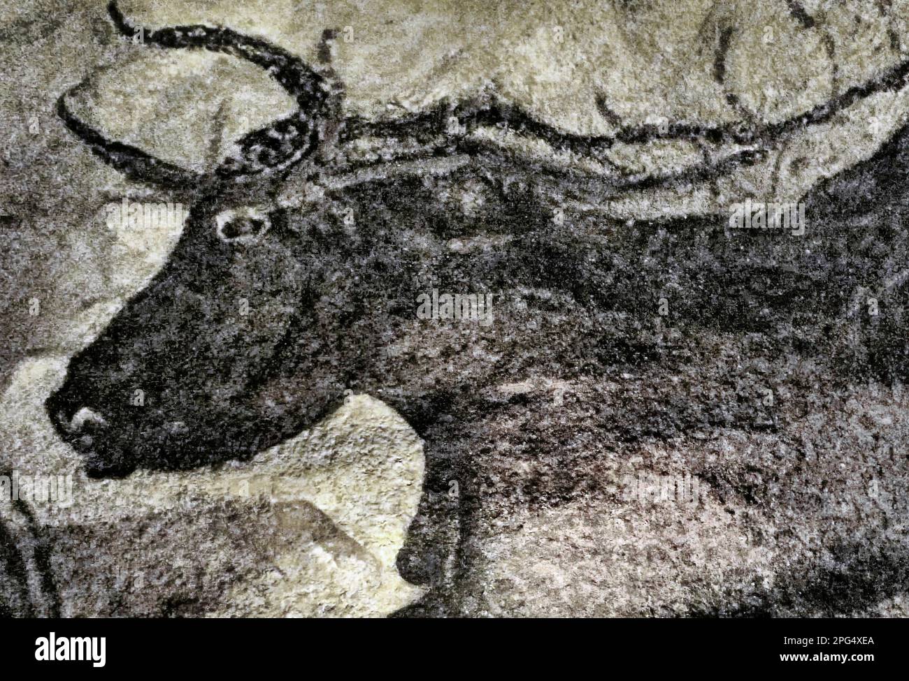 Les grottes de Lascaux sont des grottes décorées de peintures paléolithiques, considérées comme l'un des témoignages les plus importants de l'art préhistorique (UNESCO) Banque D'Images