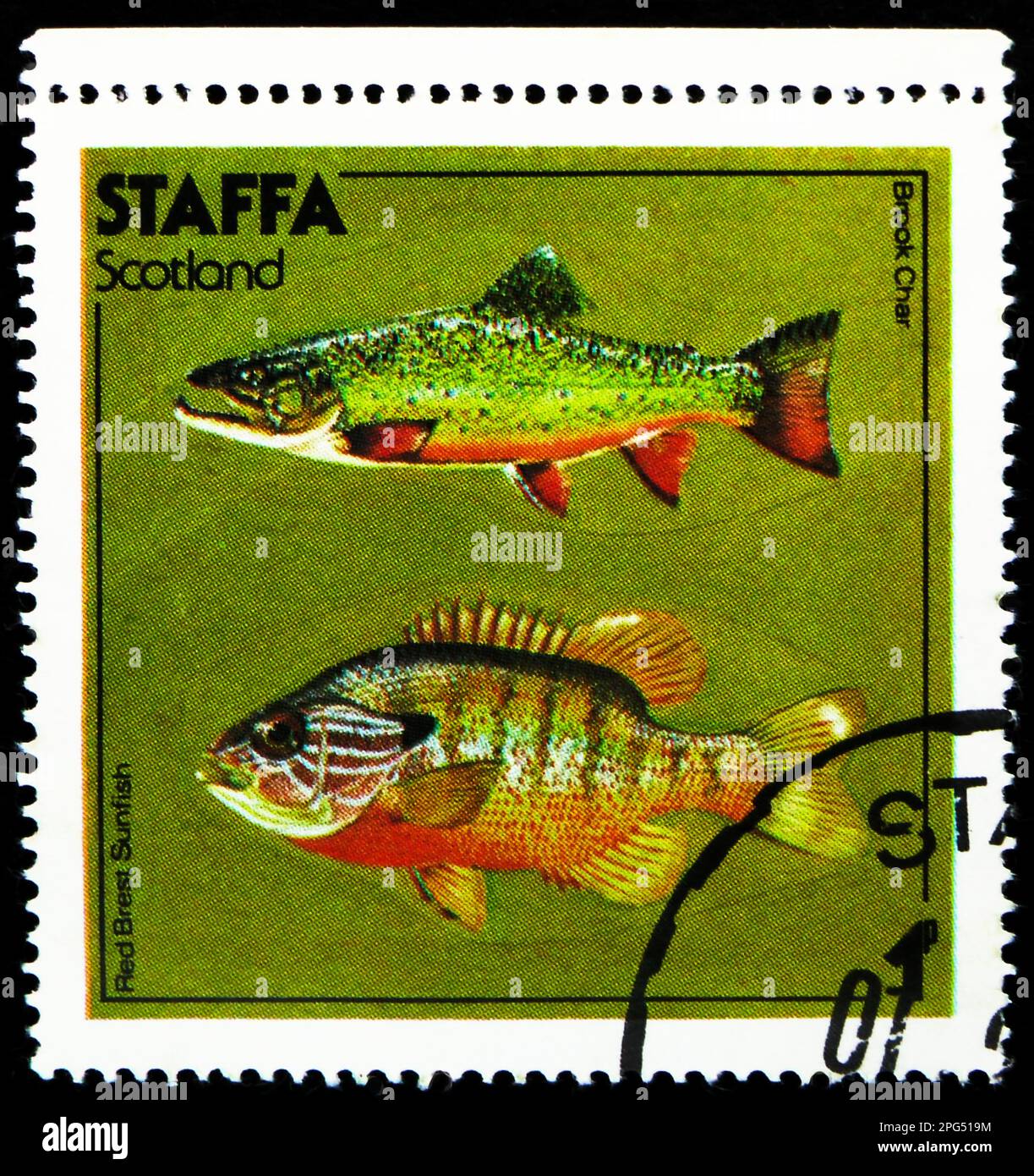 MOSCOU, RUSSIE - 16 MARS 2023 : timbre-poste imprimé à Cendrillon montre Brook Char, Red Brest Sunfish, série Staffa, vers 1978 Banque D'Images