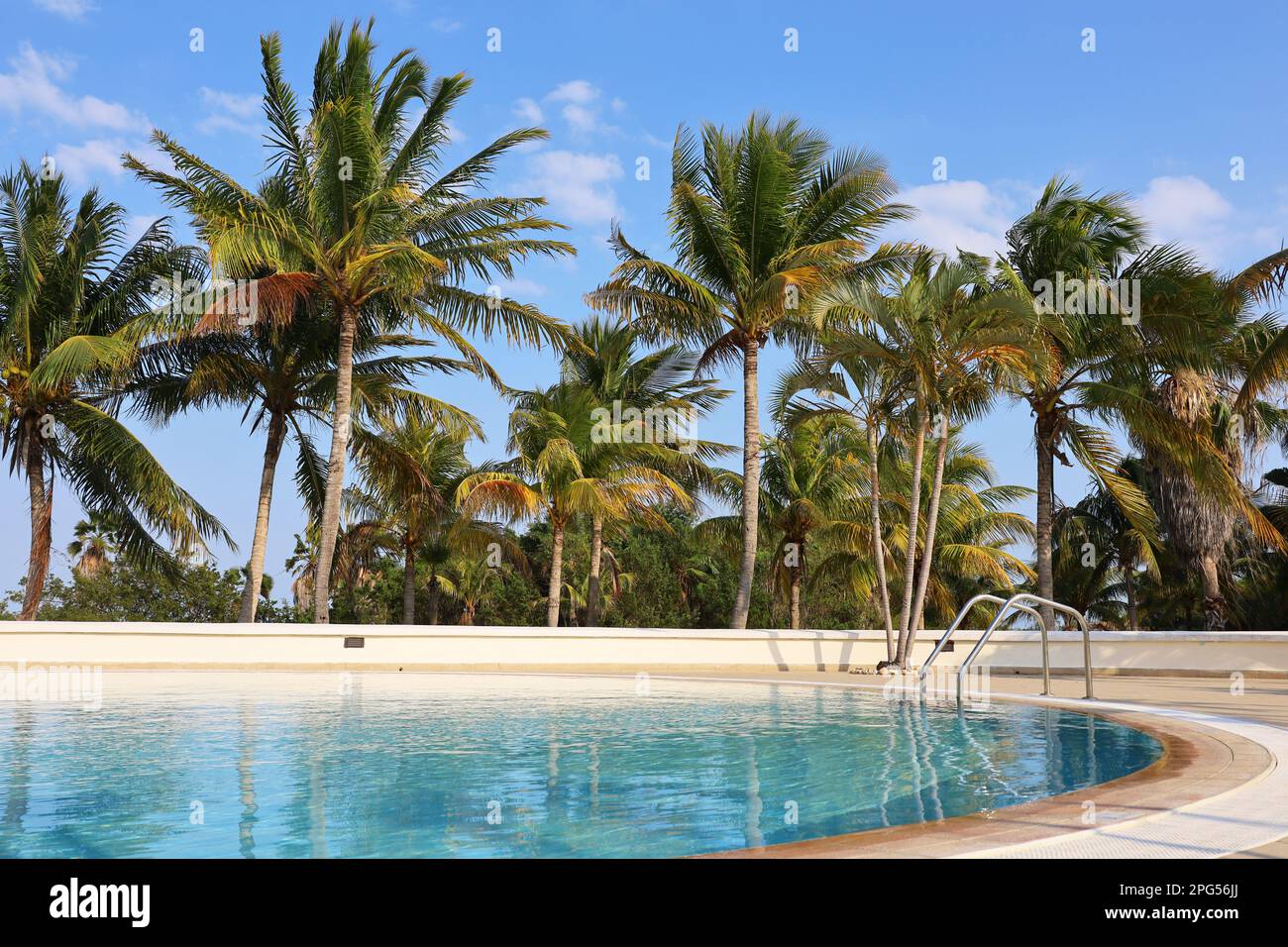 Vue sur la piscine et les palmiers à noix de coco. Vacances sur la plage sur l'île tropicale Banque D'Images