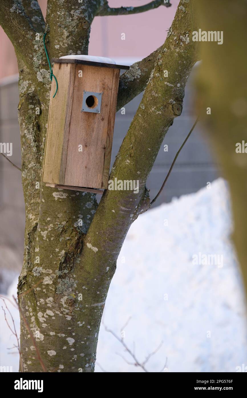 Helsinki / Finlande - 1 MARS 2023, Une maison d'oiseaux en bois faite à la main accrochée à un arbre. Banque D'Images