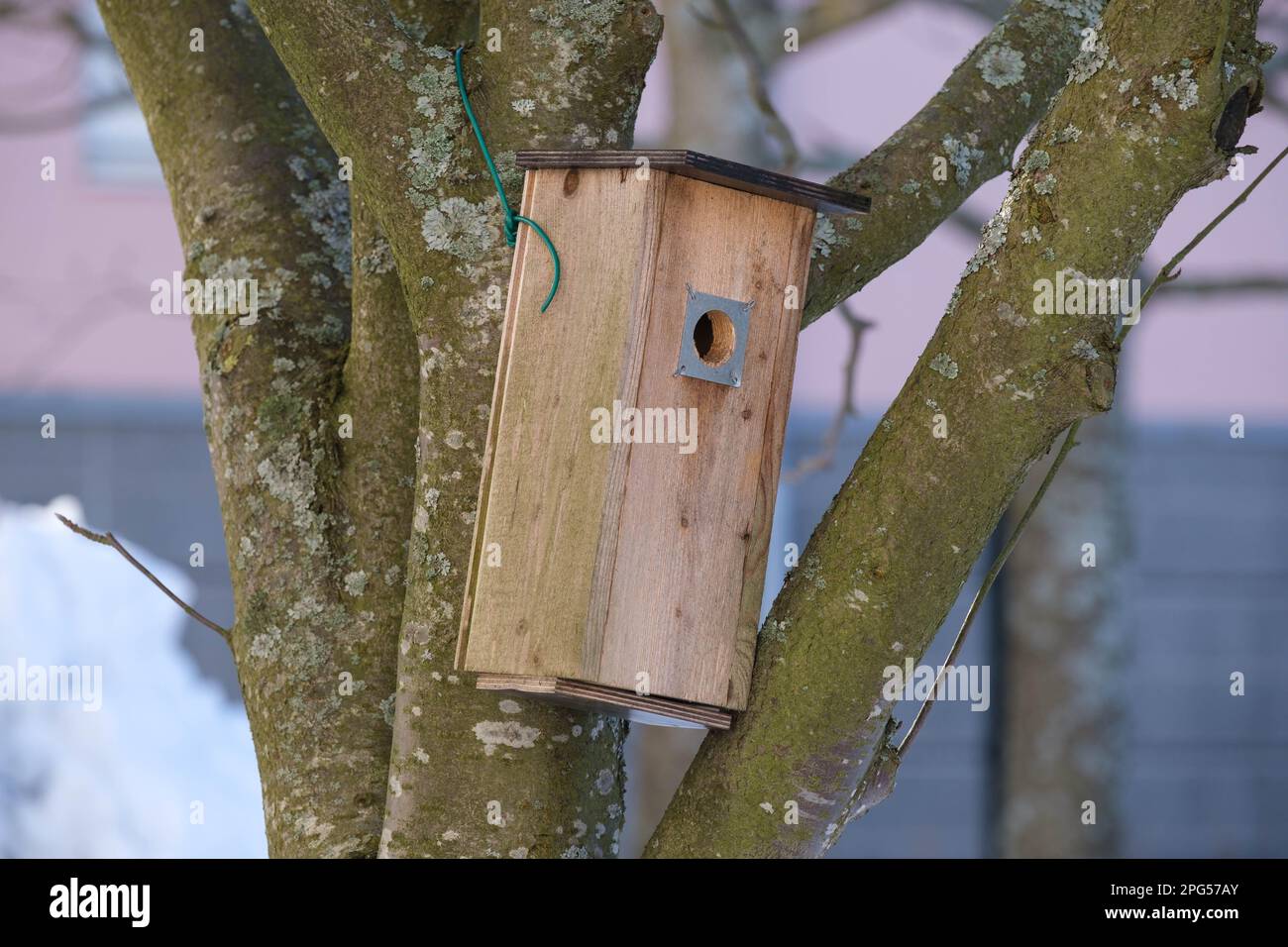 Helsinki / Finlande - 1 MARS 2023, Une maison d'oiseaux en bois faite à la main accrochée à un arbre. Banque D'Images