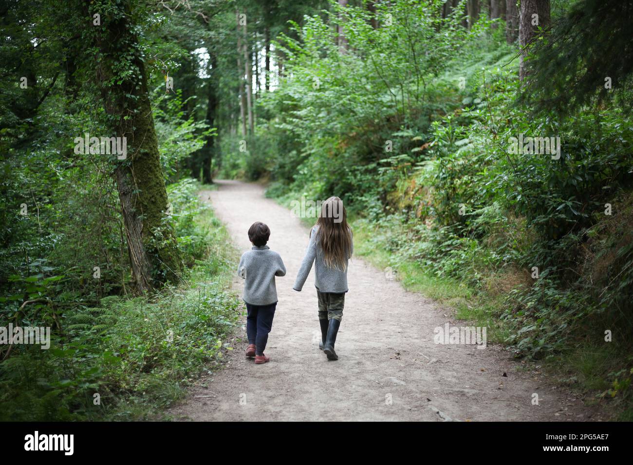 Deux enfants marchant dans la forêt Banque D'Images