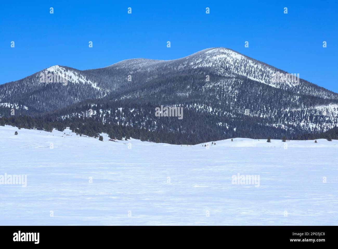 montagne noire le long de la ligne de partage continentale en hiver près d'avon, montana Banque D'Images