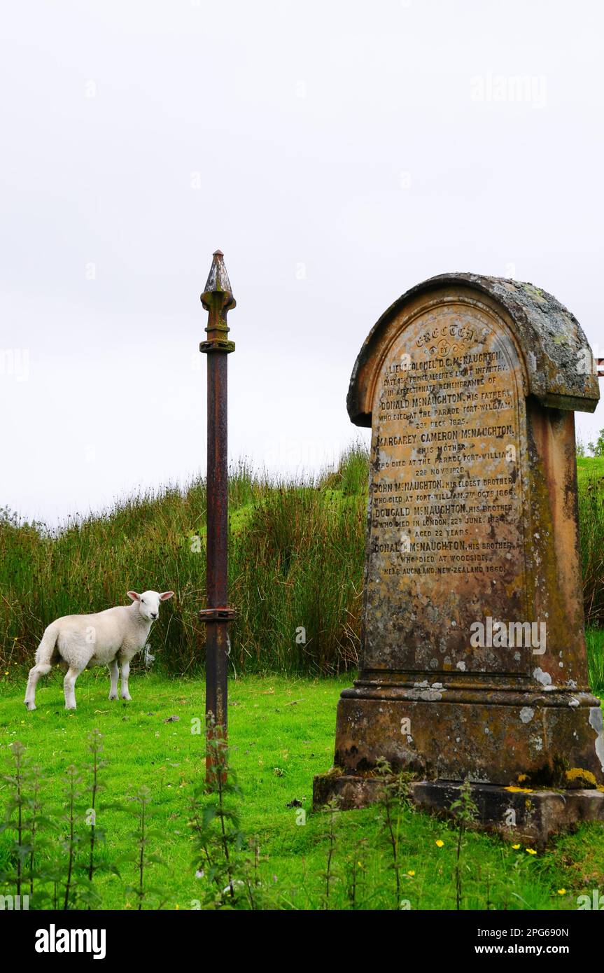 Ancien cimetière d'Oban, Highlands, Écosse, Grande-Bretagne Banque D'Images