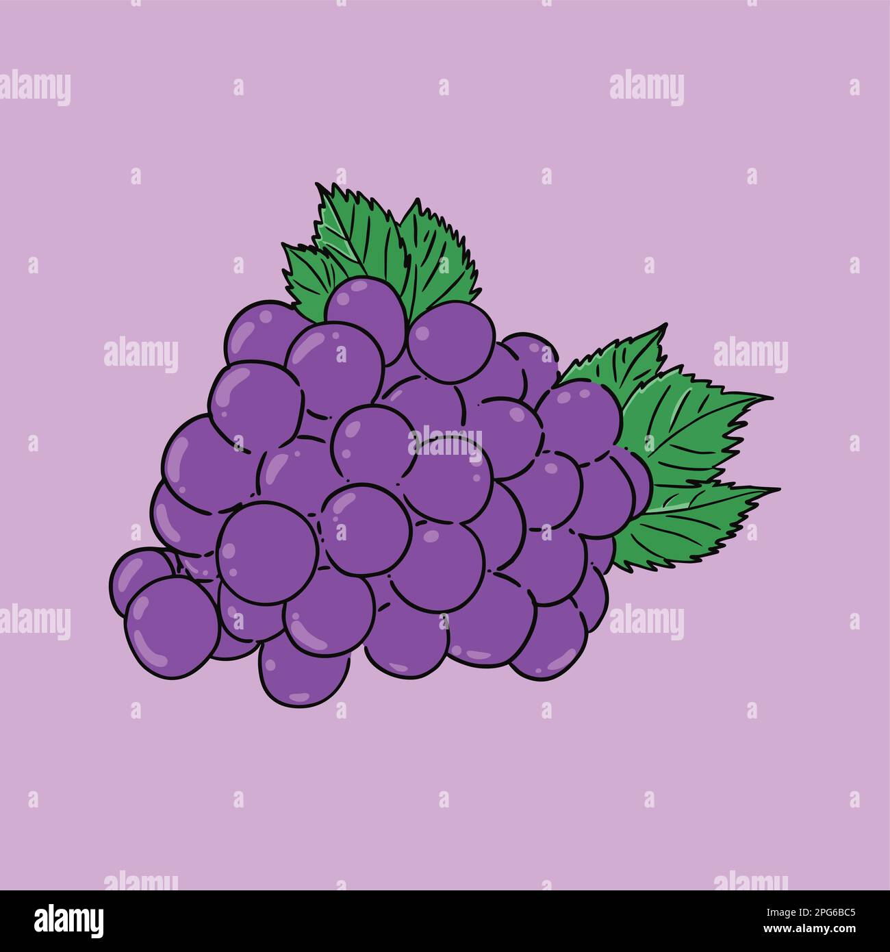 Illustrations vectorielles violet raisin Illustration de Vecteur