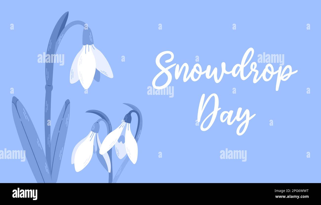 Fleurs de neige blanches avec des feuilles. Le printemps arrive. Journée Snowdrop. Illustration vectorielle isolée sur fond bleu Illustration de Vecteur