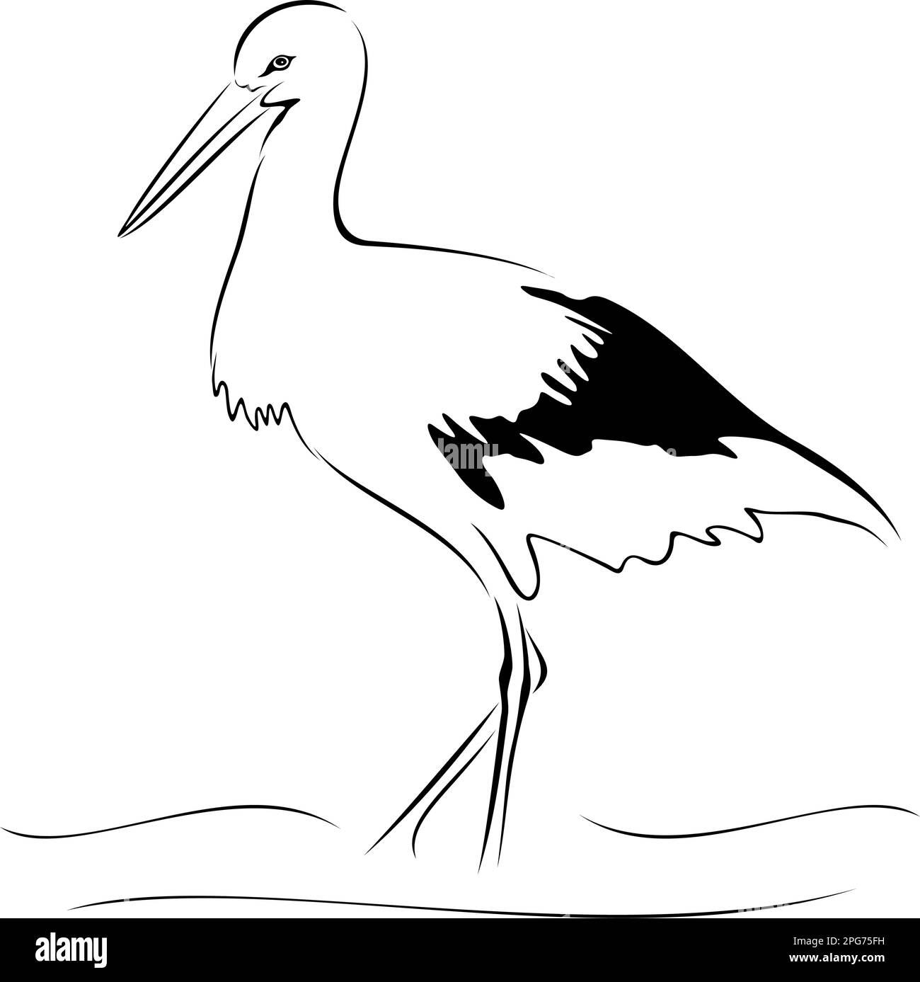 Cigogne sur croquis Illustration de Vecteur
