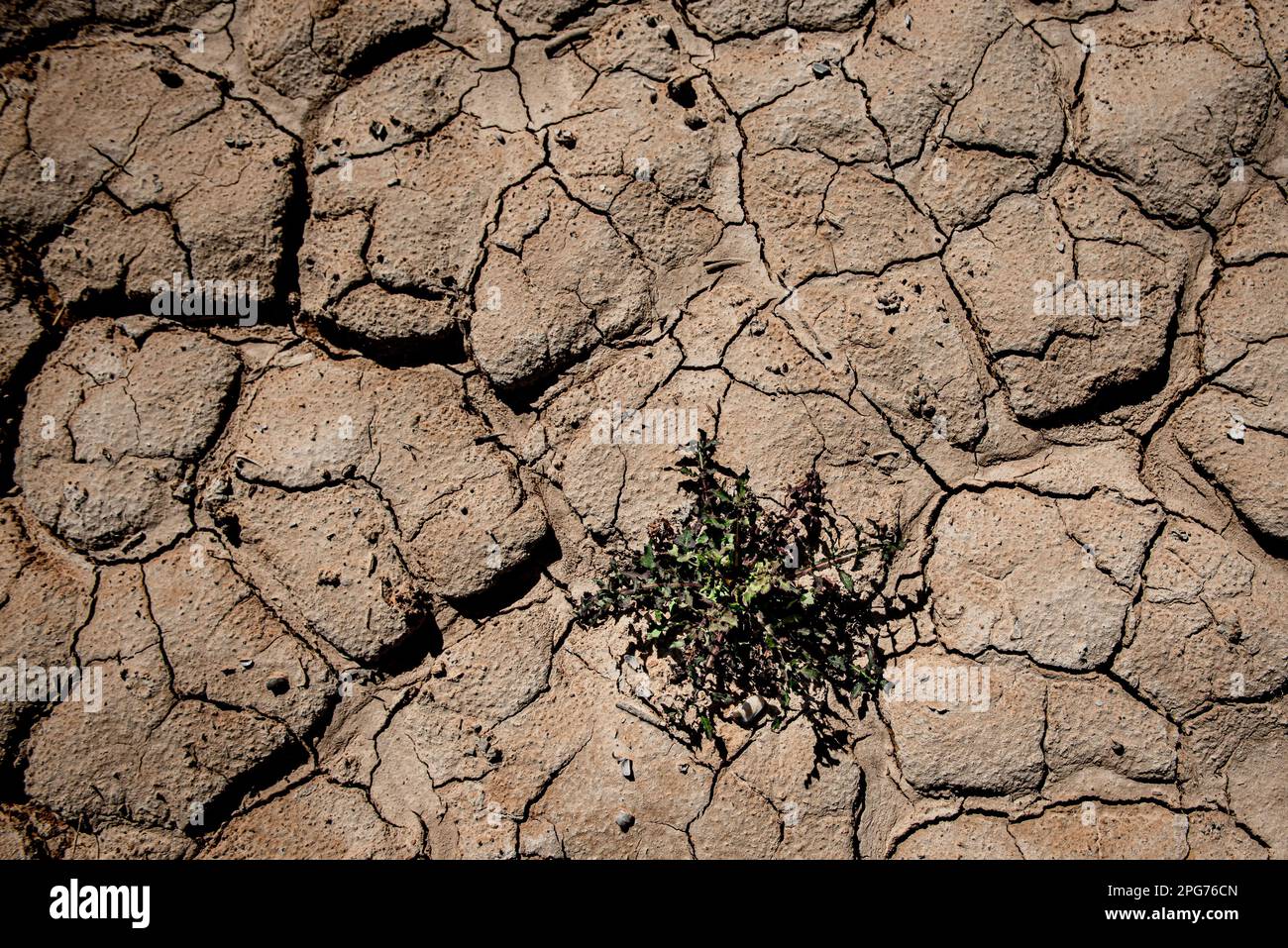 20 mars 2023, Cercs, Barcelone, Espagne: Le lit sec de la rivière Llobregat tout en entrant dans le réservoir de la Baells à Cercs, province de Barcelone, Espagne. Les restrictions de l'eau se sont encore renforcées en Catalogne en raison de la sécheresse qui dure depuis 29 mois et qui est liée au changement climatique et au réchauffement de la planète. Actuellement, les réservoirs catalans sont à 27 pour cent de leur capacité. Credit: Jordi Boixareu/ Alamy Live News Banque D'Images