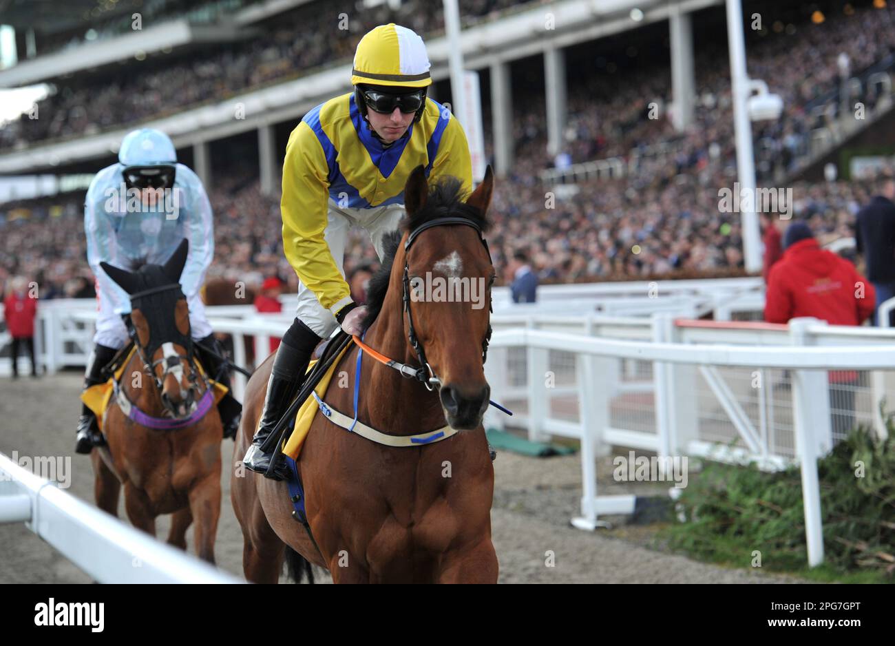 Les chevaux qui se dirigent vers l'avant de la première course 1,30 l'obstacle JCB Triumph. Almuhit, monté par Donagh Meyler, se dirige vers la course START Horse à C Banque D'Images