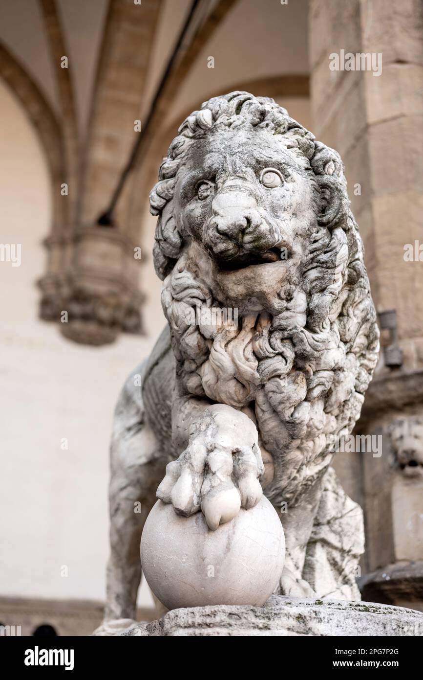Un des lions de Médicis flanquant les marches de la Loggia della Signoria. Une sculpture romaine du deuxième siècle, retravaillée en 1500s. Banque D'Images