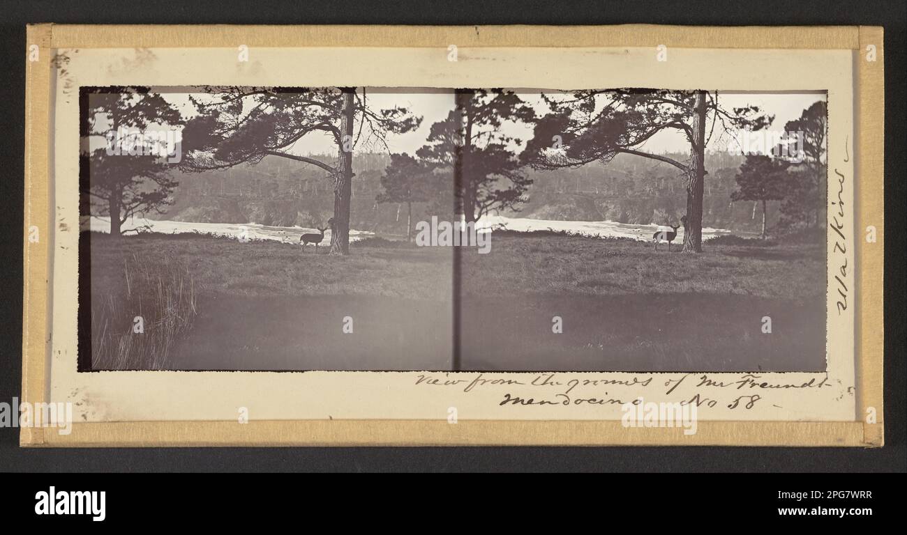 Point de vue de M. Freudt, Mendocino avant 1863 par Carleton E. Watkins Banque D'Images