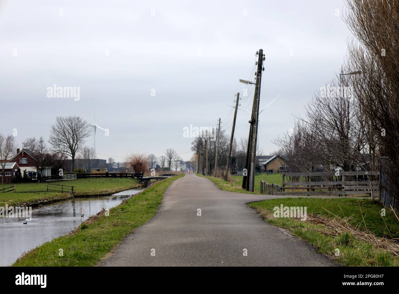 Poteaux en bois pour fils électriques dans le Zuidplaspolder à Moordrecht aux pays-Bas Banque D'Images