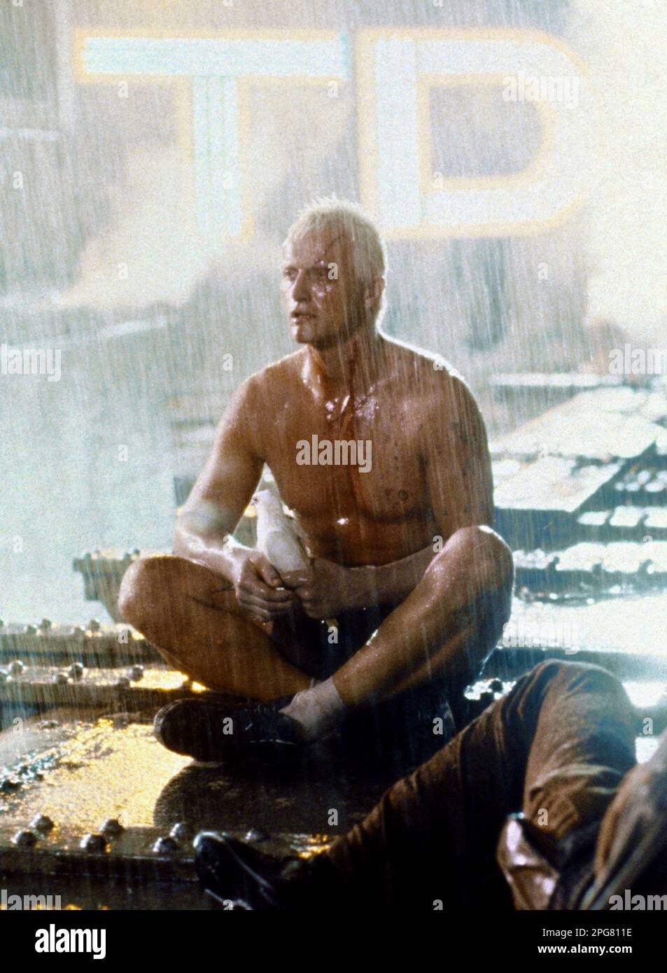 Blade Runner 1982 Rutger Hauer Banque D'Images