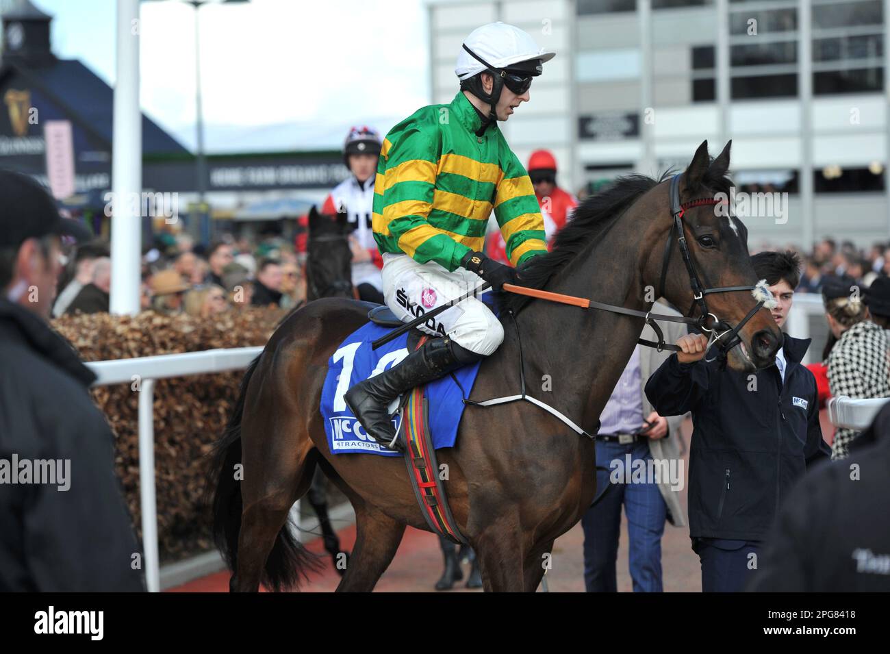 Deuxième course 2,10 l'obstacle McCoy Contractors County descendant jusqu'au départ de Filey Bay, monté par Mark Walsh Horse Racing à Cheltenham Racecourse Banque D'Images