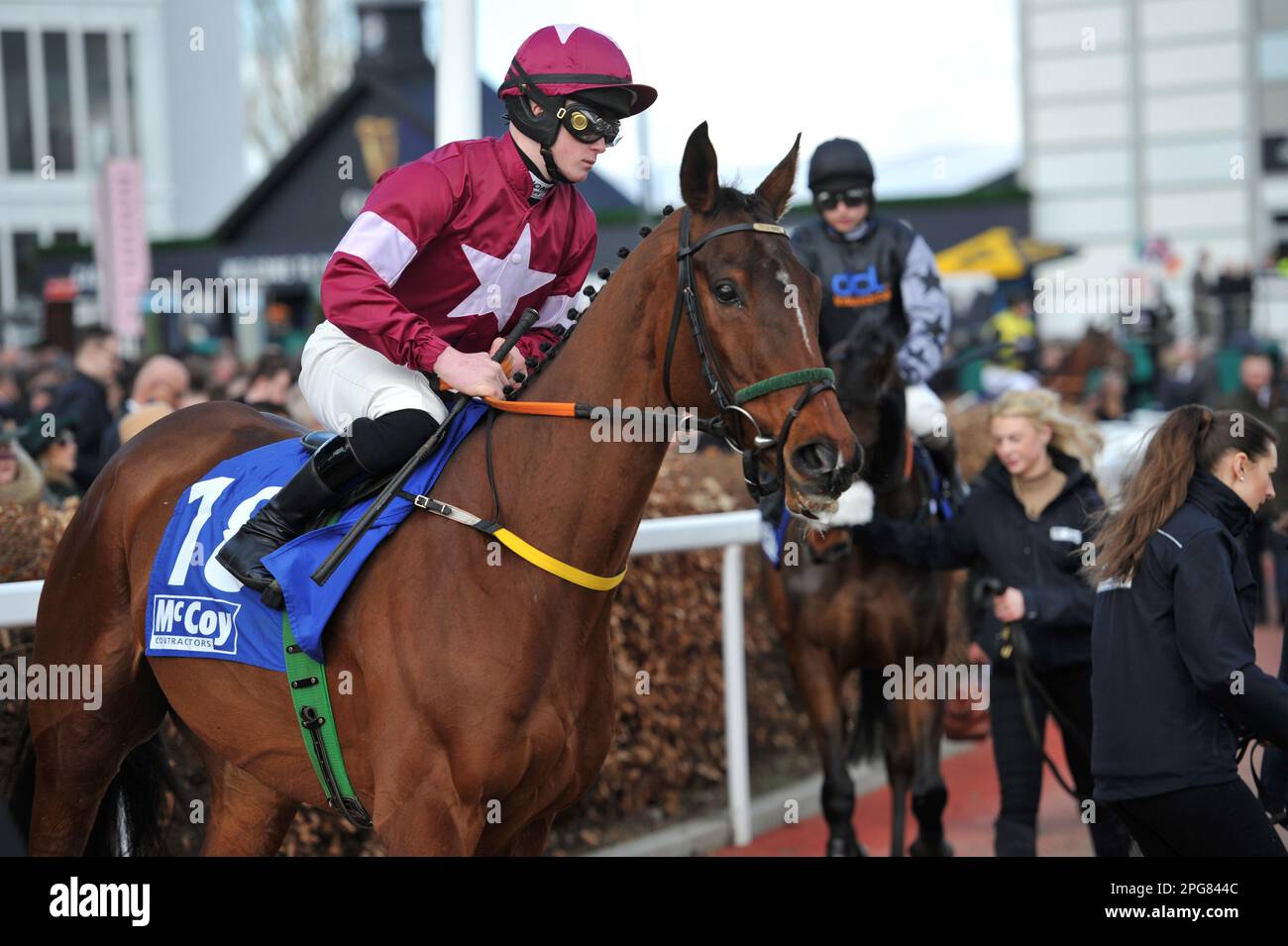 Deuxième course 2,10 le McCoy Contractors County haies descendre à la charge de début Highland, monté par Sam Ewing Horse course à Cheltenham Racec Banque D'Images