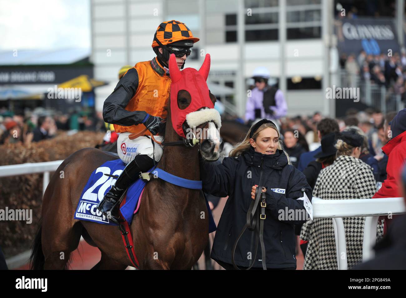 Deuxième course 2,10 l'obstacle McCoy Contractors County descendant vers le départ Luttrell LAD monté par Harry Cobden Horse course à Cheltenham Racec Banque D'Images
