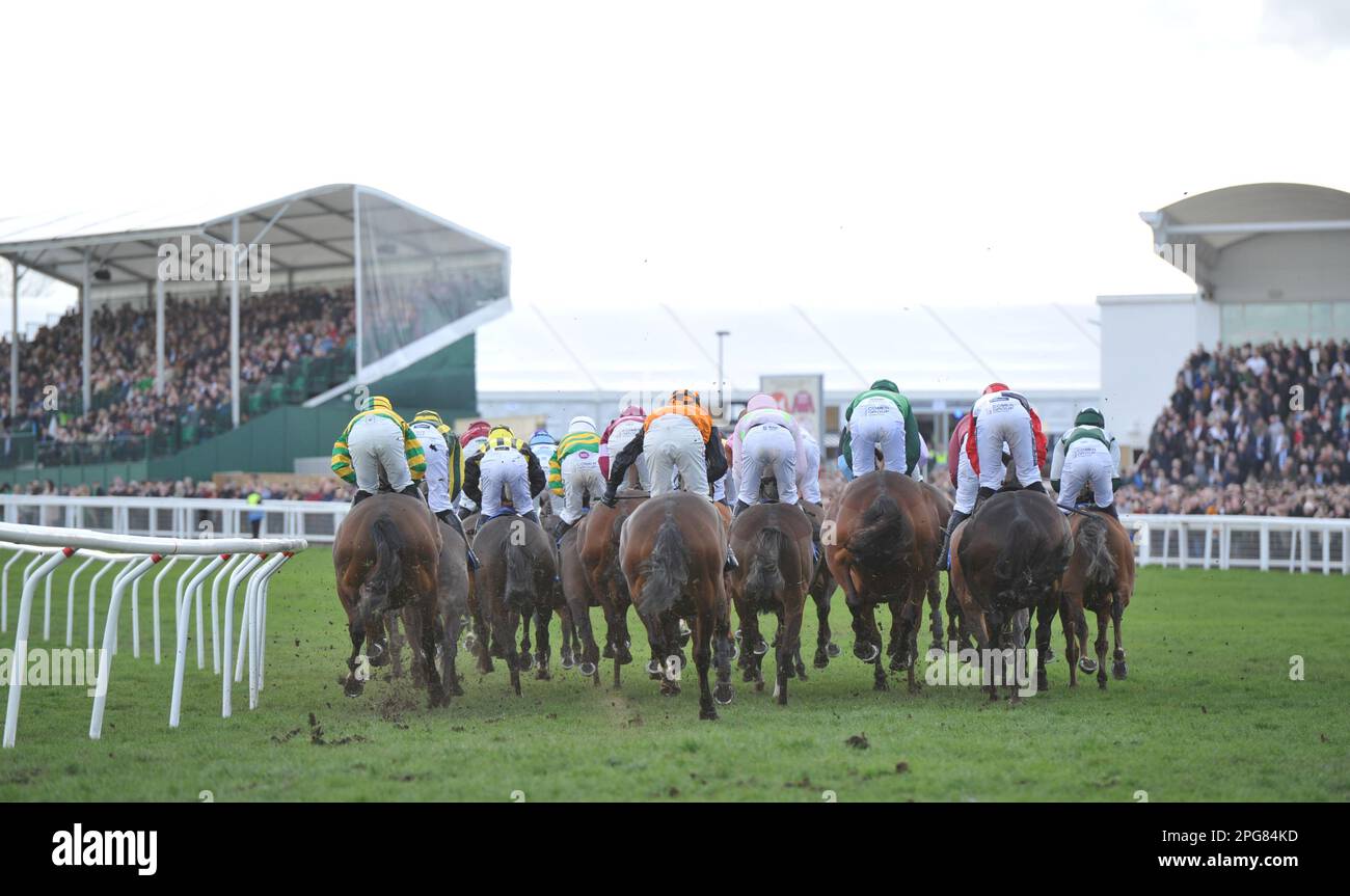 Deuxième course 2,10 The McCoy Contractors County Hhurdle Horse course à Cheltenham Racecourse le jour 4 le dernier jour du Cheltenham Festival a Celebb Banque D'Images