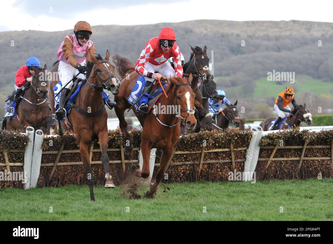 Deuxième course 2,10 The McCoy Contractors County Hhurdle L2R vainqueur éventuel de la course Faisoir monté par Bridget Andrews et Piper monté par Davy Russel Banque D'Images