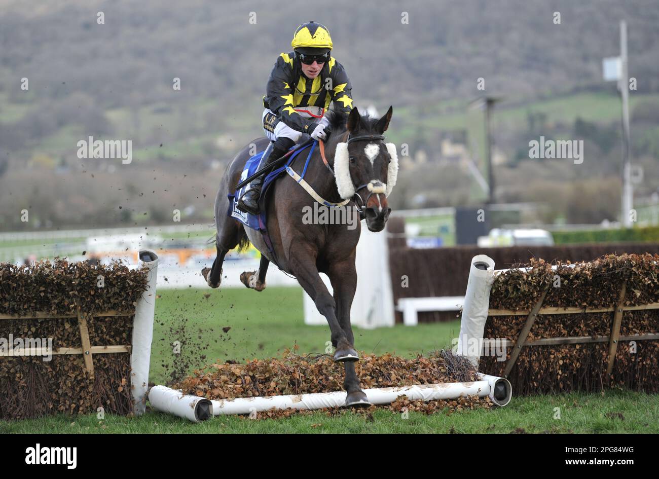 Deuxième course 2,10 le McCoy Contractors County Hangdle Ganapathi monté par Alan Doyle sur la dernière course de chevaux à Cheltenham Racecourse le jour 4 Banque D'Images