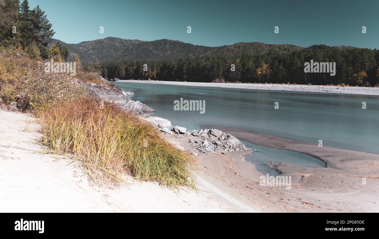 Le mouvement de l'herbe sur la rive dans le vent sur les rives de la rivière Katun rapide, pris par une longue exposition en Altaï pendant la journée. Banque D'Images