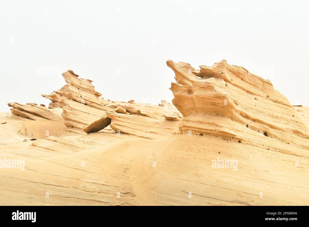 Dunes de Fossil Al Wathba, Abu Dhabi Banque D'Images