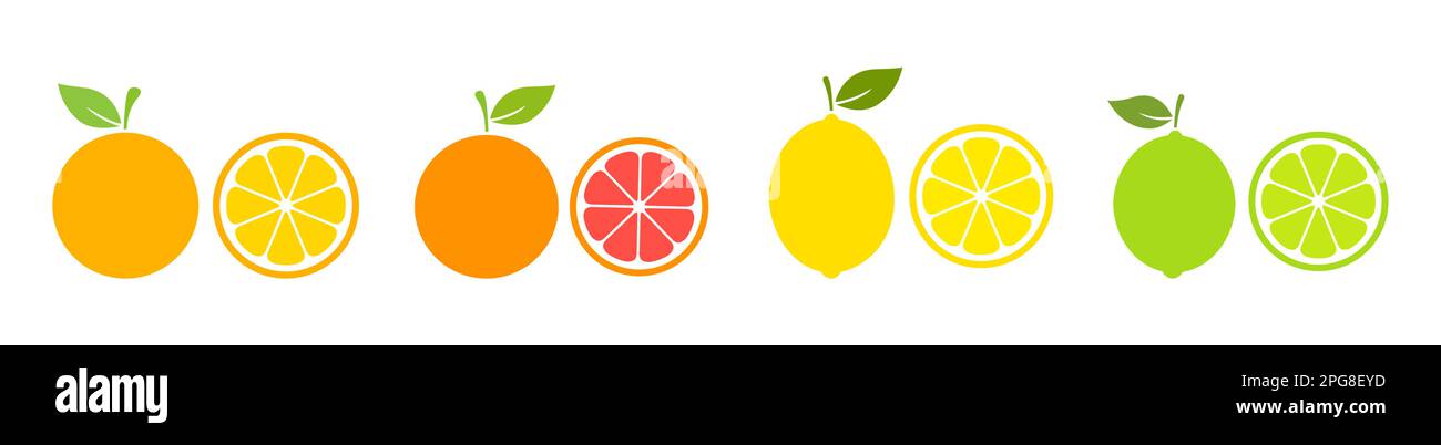 Agrumes entiers avec collecte de tranches. Ensemble orange, pamplemousse, citron et citron vert. Illustration vectorielle isolée sur blanc. Illustration de Vecteur