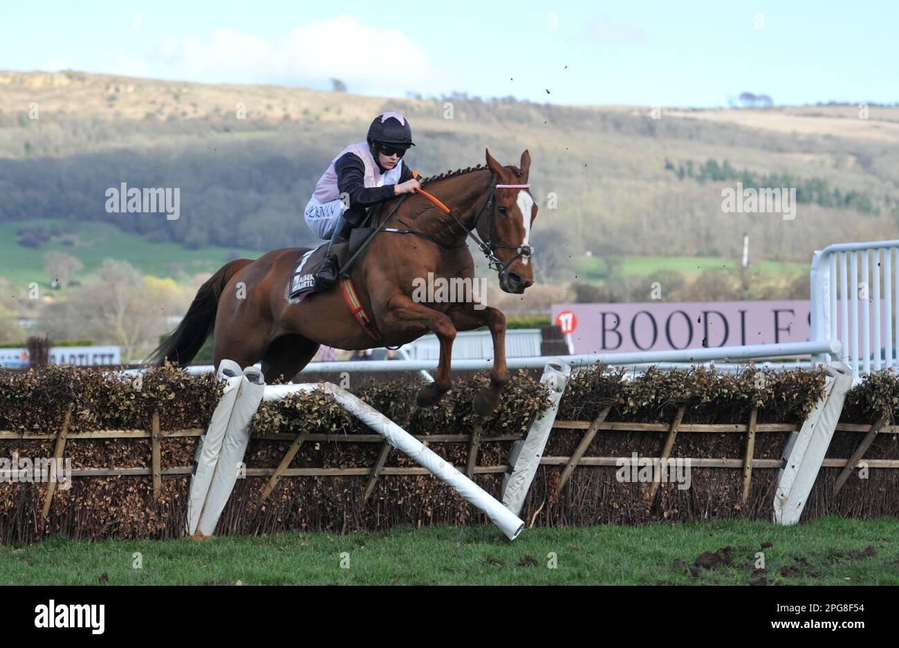 Troisième course 2,50 le hurdle Albert Bartlett Novice Hiddenvalley Lake, monté par Rachael Blackmore, saute la dernière course de chevaux à Cheltenham Racepou Banque D'Images