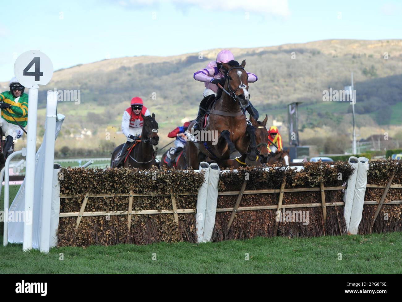 Troisième course 2,50 The Albert Bartlett Novice Harting Stay Away Fay monté par Harry Cobden saute le dernier comme Corbetts Cross monté par Mark Walsh accidents Banque D'Images