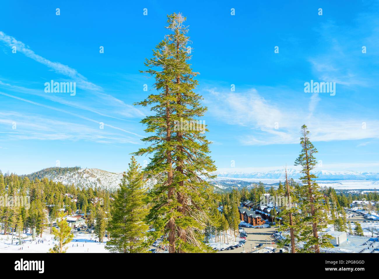 Paysage d'hiver de la station de ski de Mammoth Mountain, présentant l'infrastructure impressionnante. Le terrain enneigé est parsemé de remontées mécaniques, de pistes et de canaux Banque D'Images