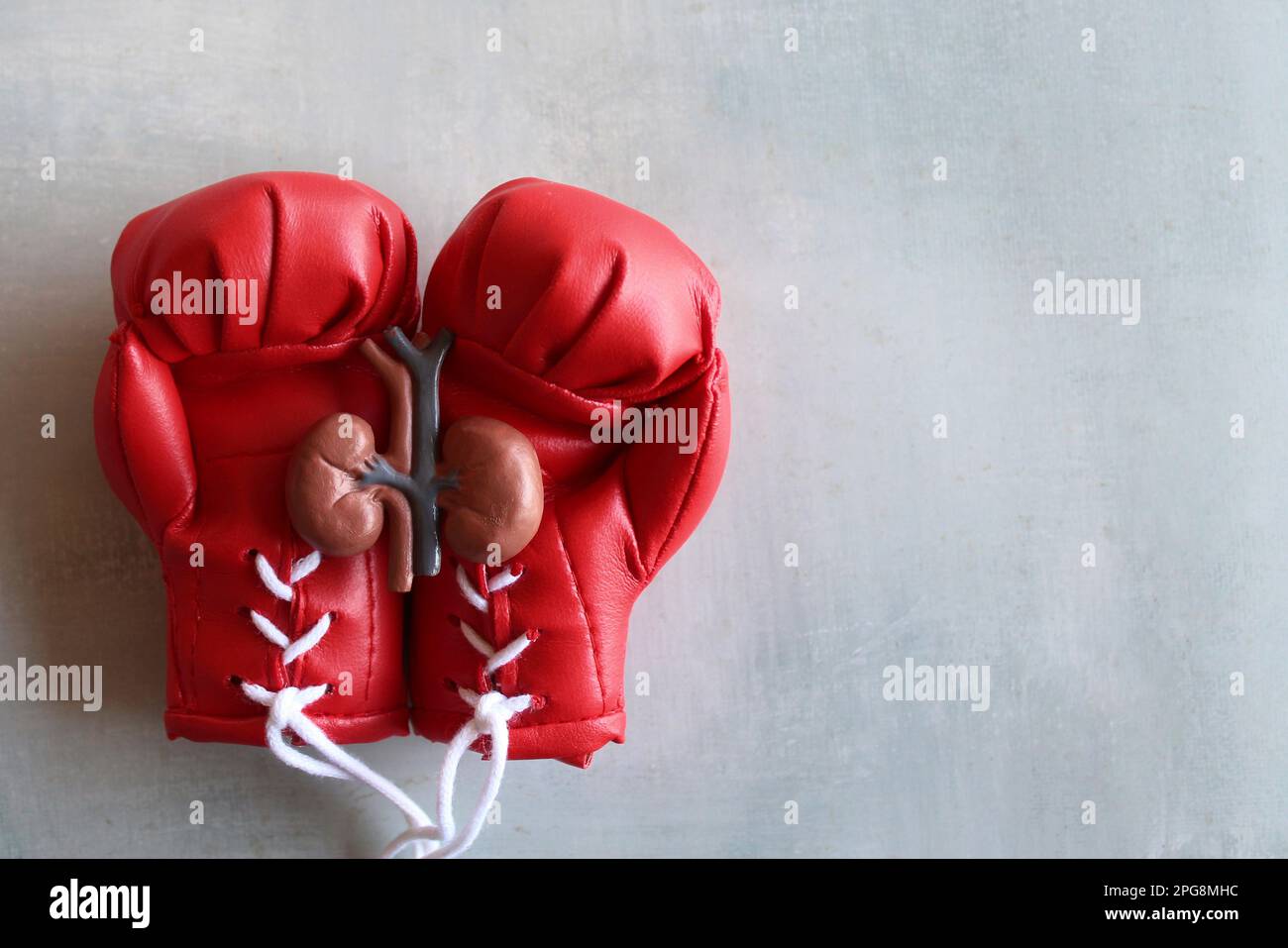 Modèle de rein au-dessus des gants de boxe rouges avec espace de copie. Combattre les maladies rénales concept Banque D'Images