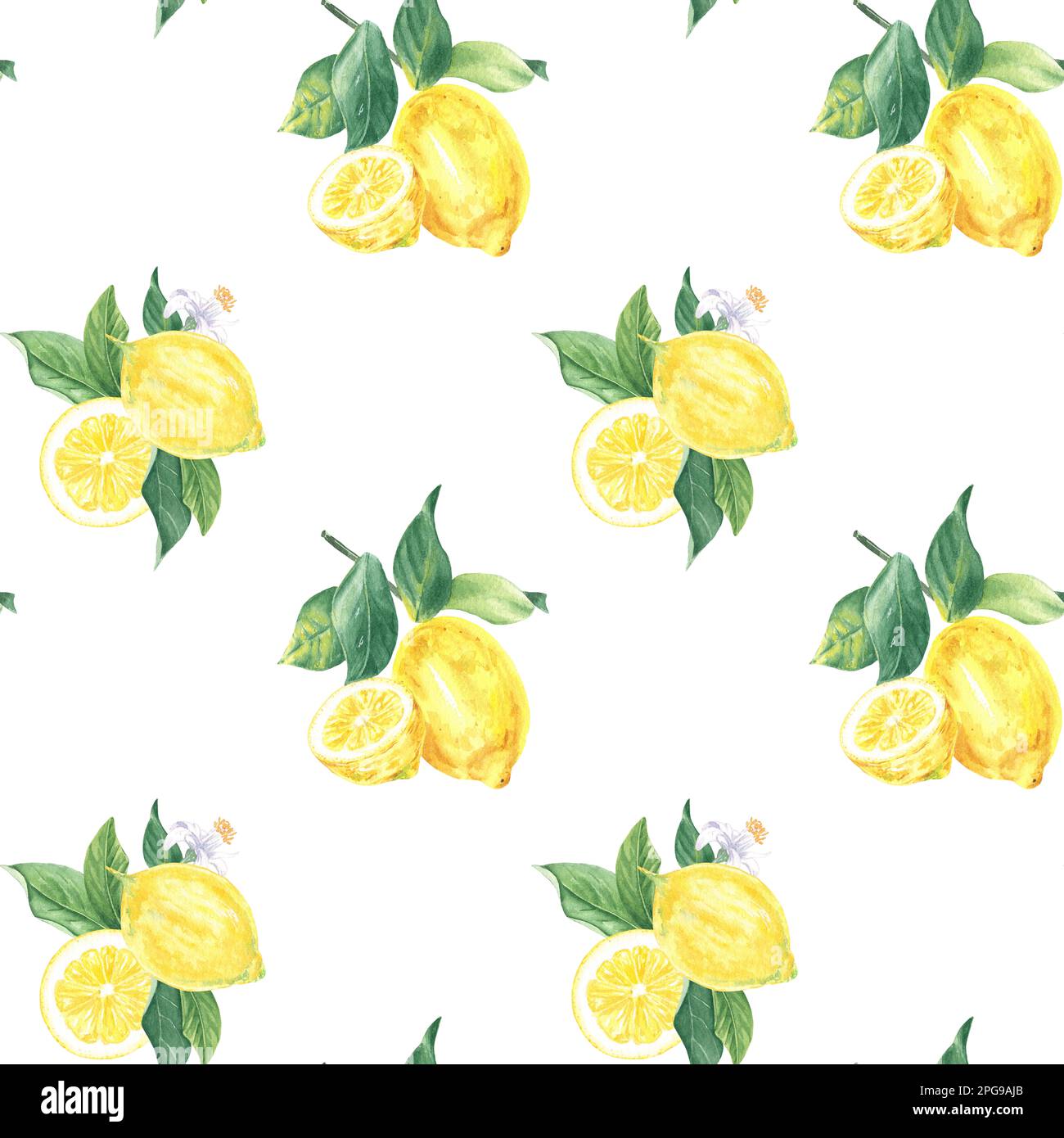 Aquarelle sans couture motif citron, tranches, fleur, feuilles sur fond blanc, peint à la main dans le style botanique, pour les vacances, mariage, conception alimentaire Banque D'Images Aquarelle sans couture motif citron, tranches, fleur, feuilles sur fond blanc, peint à la main dans le style botanique, pour les vacances, mariage, conception alimentaire Banque D'Images
