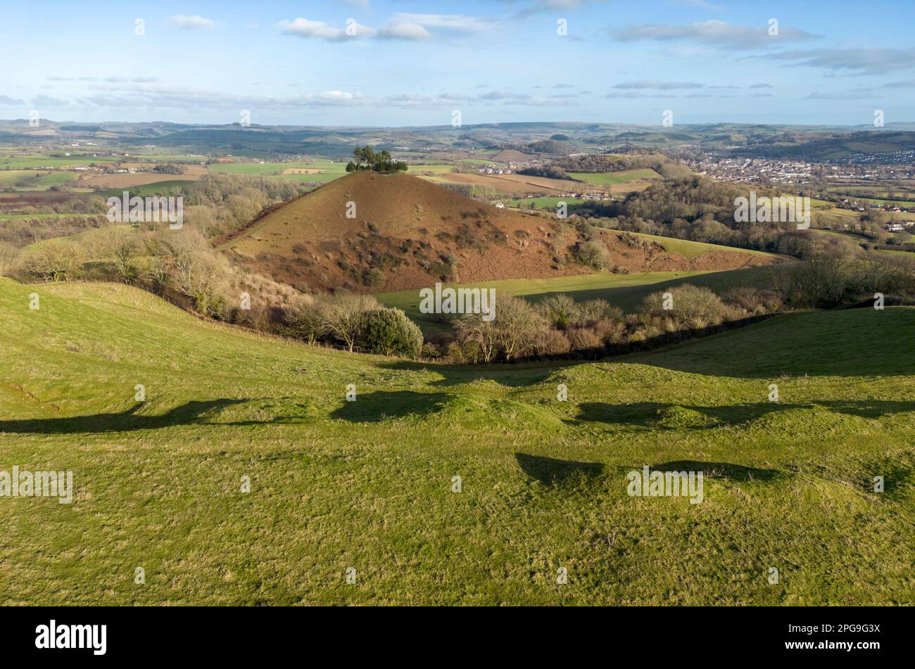 Colmer's Hill Symondsbury près de Bridport Dorset Banque D'Images