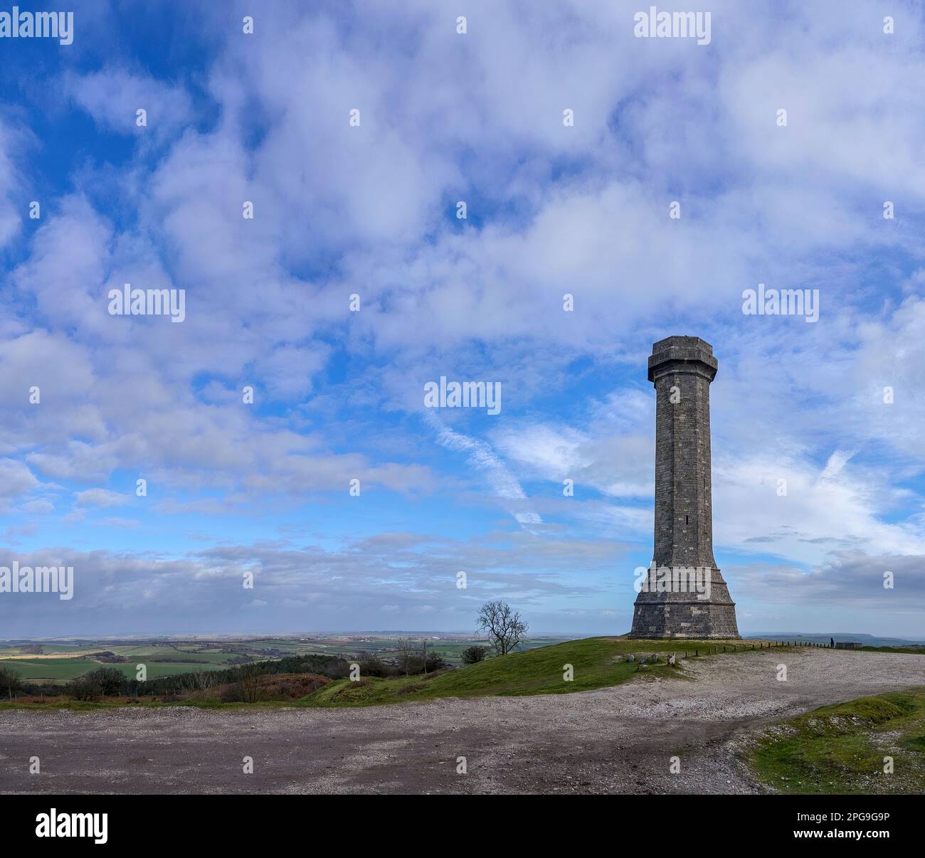 Le monument de Hardy au Vice-amiral Sir Thomas Hardy drapeau capitaine de l'amiral Lord Nelson à la bataille de Trafalgar érigée sur le Dorset de Black Down Banque D'Images