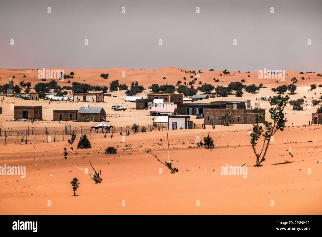 Paysage désertique sur la route entre Boutilimit et Nouakshott en Mauritanie. Brahim Ramdhane, ancien esclave et fondateur de son ONG Fondation Sahel, lutte contre l'esclavage, contre l'oppression de sa tribu des Haratins et pour des opportunités éducatives équitables depuis qu'il s'est libéré en tant que jeune. Banque D'Images