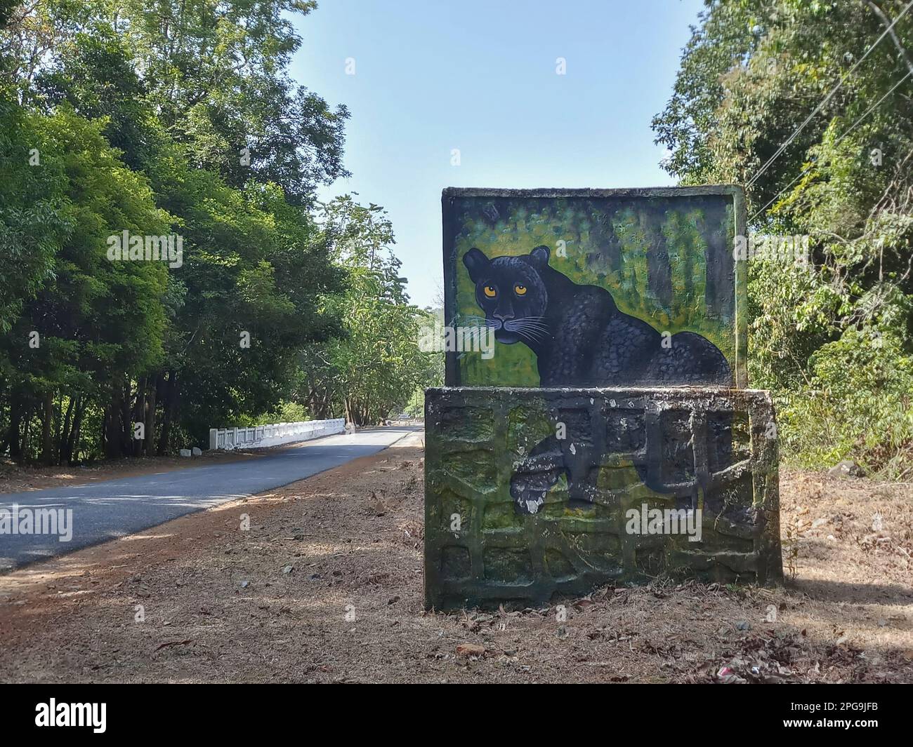 Une panthère noire, version à revêtement noir de léopard, Panthera pardus, ou jaguar, Panthera onca, sur le panneau d'affichage à la réserve de tigres de Karnataka, Inde. Profond Banque D'Images