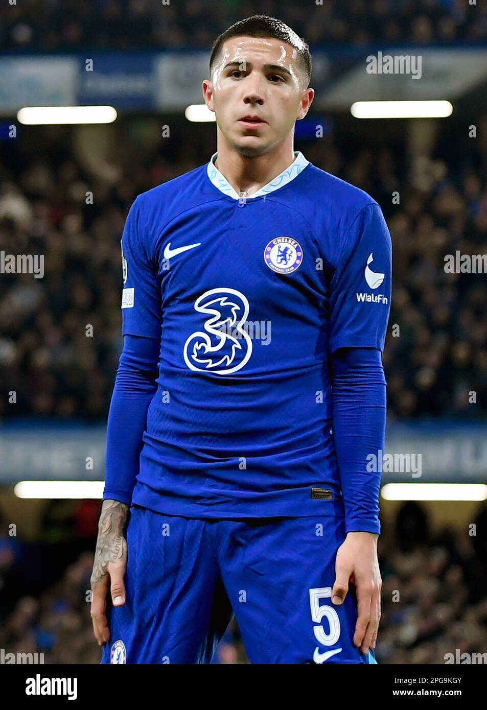 Enzo Fernandez de Chelsea - Chelsea / Borussia Dortmund, Ligue des champions de l'UEFA, Stamford Bridge, Londres, Royaume-Uni - 7th mars 2023 Banque D'Images