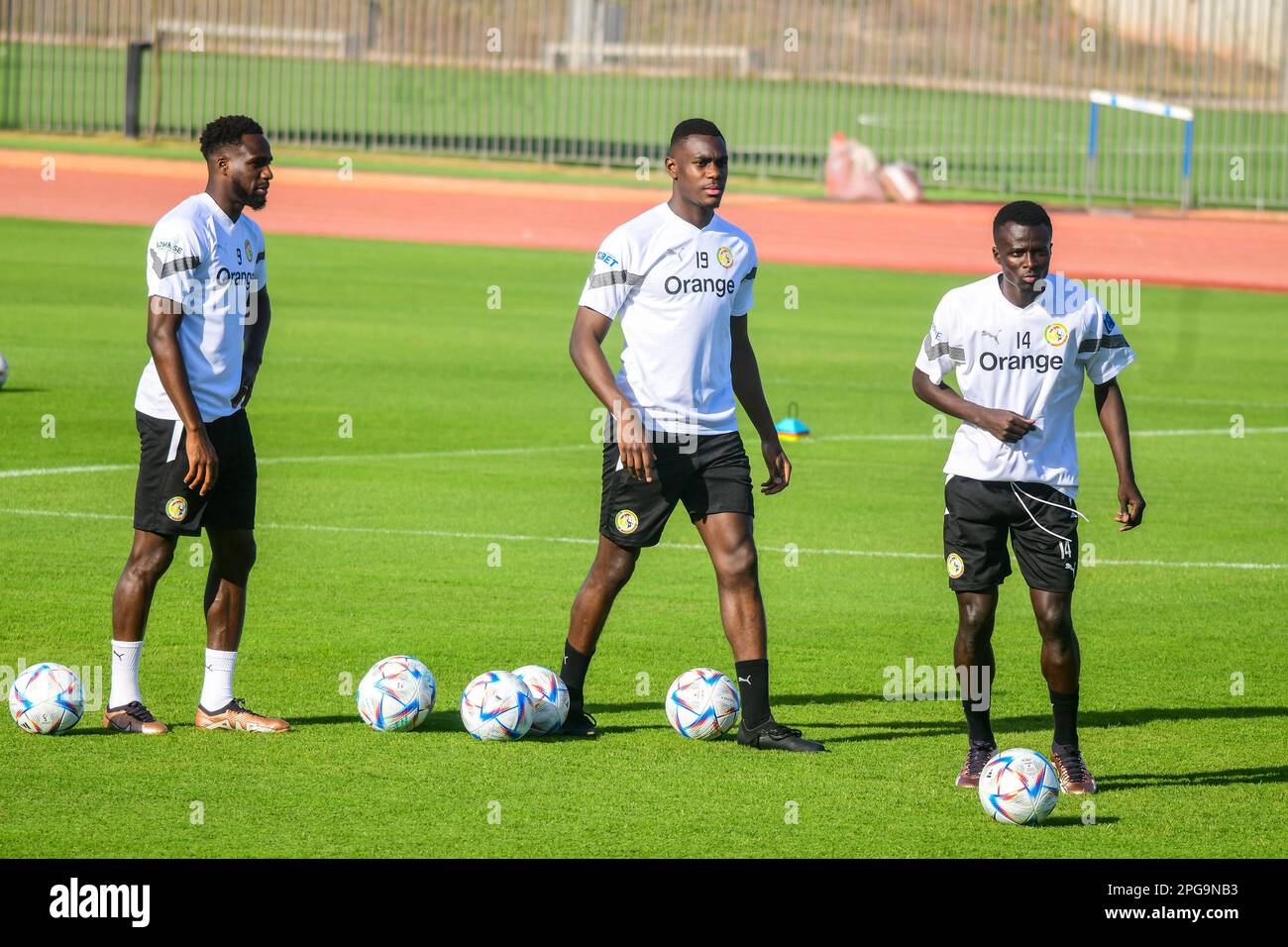 Sénégal pendant une section de formation en préparation pour la coupe d'Afrique des nations (AFCON) qualificatifs match contre le Mozambique au Stade du Sénégal - Abdoulaye Wade. Dakar, Sénégal. Banque D'Images