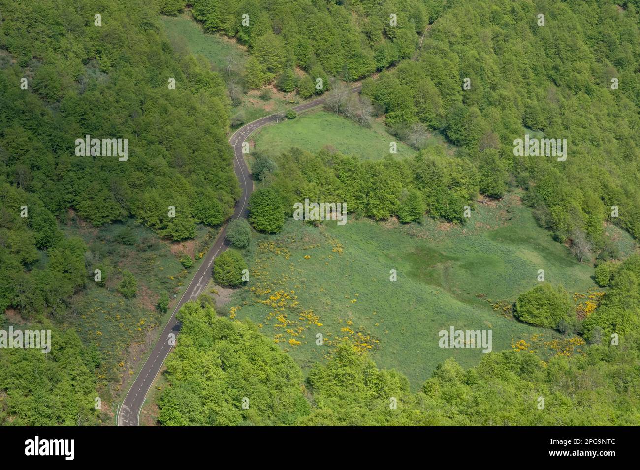 Route de montagne parmi les forêts vertes dans la province de Leon, Espagne Banque D'Images